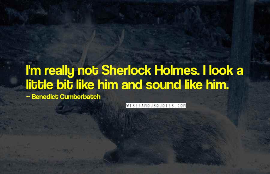 Benedict Cumberbatch Quotes: I'm really not Sherlock Holmes. I look a little bit like him and sound like him.