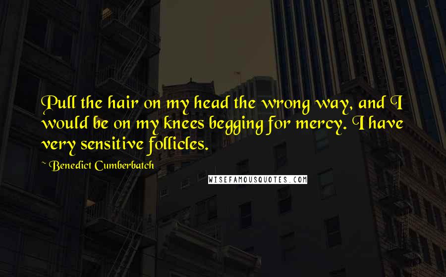 Benedict Cumberbatch Quotes: Pull the hair on my head the wrong way, and I would be on my knees begging for mercy. I have very sensitive follicles.