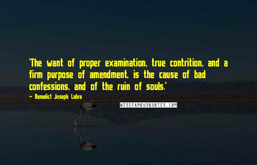 Benedict Joseph Labre Quotes: 'The want of proper examination, true contrition, and a firm purpose of amendment, is the cause of bad confessions, and of the ruin of souls.'
