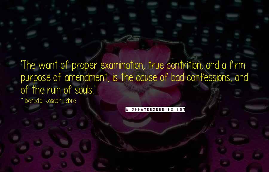 Benedict Joseph Labre Quotes: 'The want of proper examination, true contrition, and a firm purpose of amendment, is the cause of bad confessions, and of the ruin of souls.'