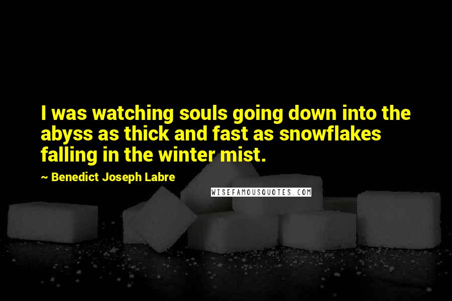 Benedict Joseph Labre Quotes: I was watching souls going down into the abyss as thick and fast as snowflakes falling in the winter mist.