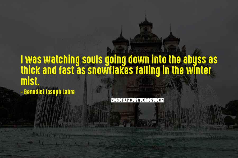 Benedict Joseph Labre Quotes: I was watching souls going down into the abyss as thick and fast as snowflakes falling in the winter mist.