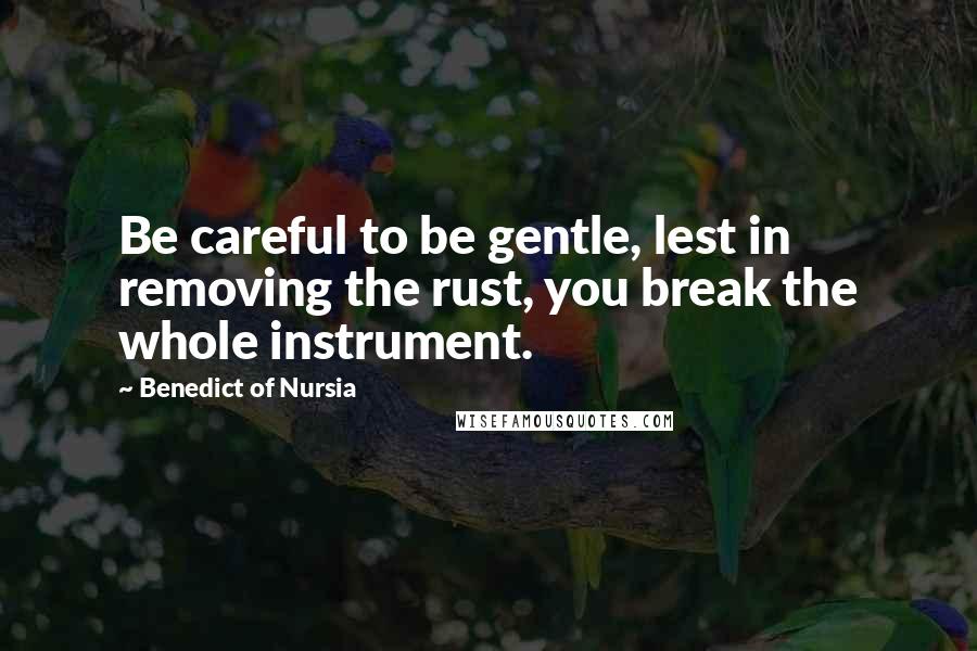 Benedict Of Nursia Quotes: Be careful to be gentle, lest in removing the rust, you break the whole instrument.