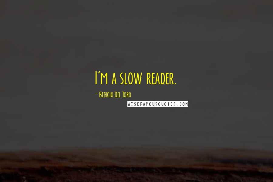 Benicio Del Toro Quotes: I'm a slow reader.