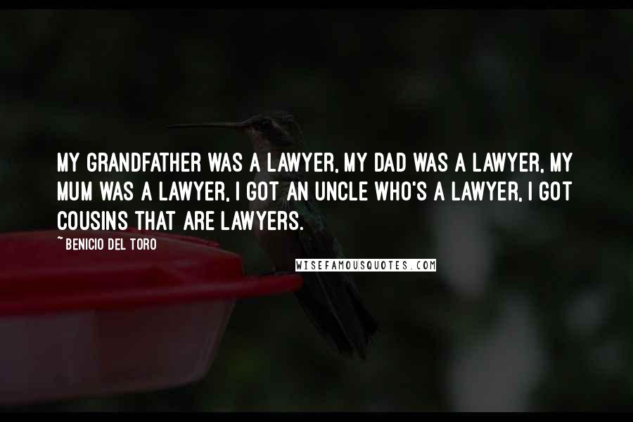 Benicio Del Toro Quotes: My grandfather was a lawyer, my dad was a lawyer, my mum was a lawyer, I got an uncle who's a lawyer, I got cousins that are lawyers.