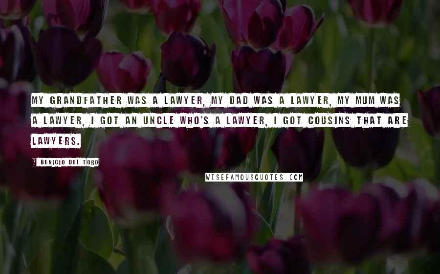 Benicio Del Toro Quotes: My grandfather was a lawyer, my dad was a lawyer, my mum was a lawyer, I got an uncle who's a lawyer, I got cousins that are lawyers.