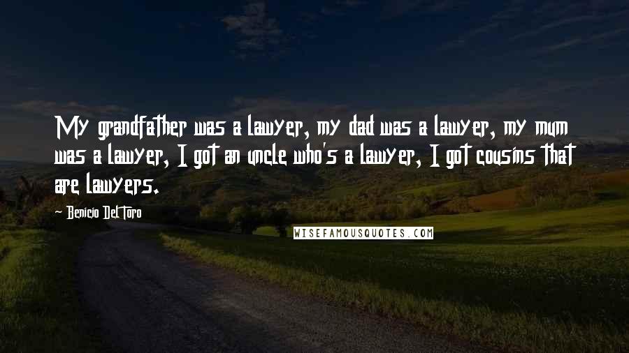 Benicio Del Toro Quotes: My grandfather was a lawyer, my dad was a lawyer, my mum was a lawyer, I got an uncle who's a lawyer, I got cousins that are lawyers.