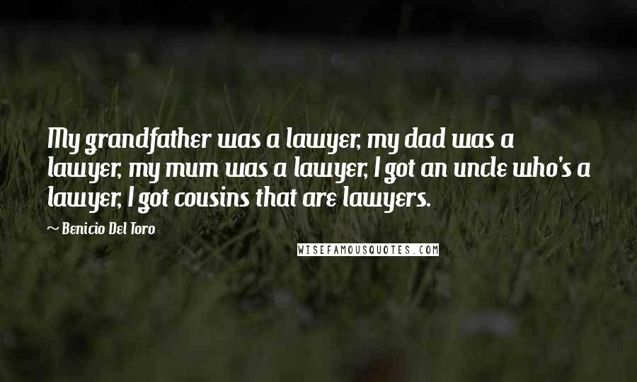 Benicio Del Toro Quotes: My grandfather was a lawyer, my dad was a lawyer, my mum was a lawyer, I got an uncle who's a lawyer, I got cousins that are lawyers.