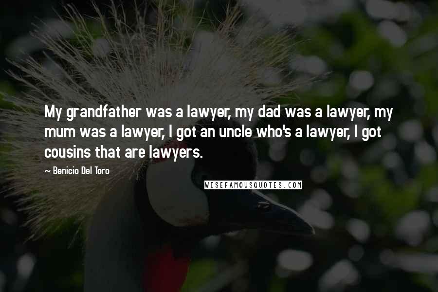 Benicio Del Toro Quotes: My grandfather was a lawyer, my dad was a lawyer, my mum was a lawyer, I got an uncle who's a lawyer, I got cousins that are lawyers.