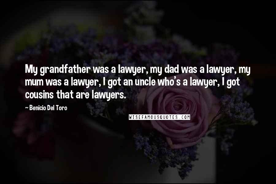 Benicio Del Toro Quotes: My grandfather was a lawyer, my dad was a lawyer, my mum was a lawyer, I got an uncle who's a lawyer, I got cousins that are lawyers.