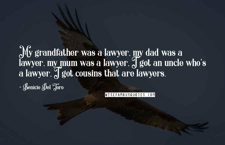 Benicio Del Toro Quotes: My grandfather was a lawyer, my dad was a lawyer, my mum was a lawyer, I got an uncle who's a lawyer, I got cousins that are lawyers.