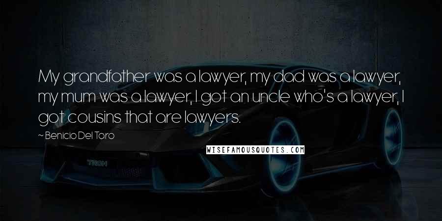 Benicio Del Toro Quotes: My grandfather was a lawyer, my dad was a lawyer, my mum was a lawyer, I got an uncle who's a lawyer, I got cousins that are lawyers.