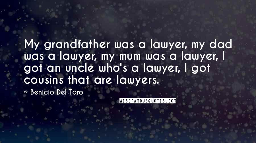 Benicio Del Toro Quotes: My grandfather was a lawyer, my dad was a lawyer, my mum was a lawyer, I got an uncle who's a lawyer, I got cousins that are lawyers.