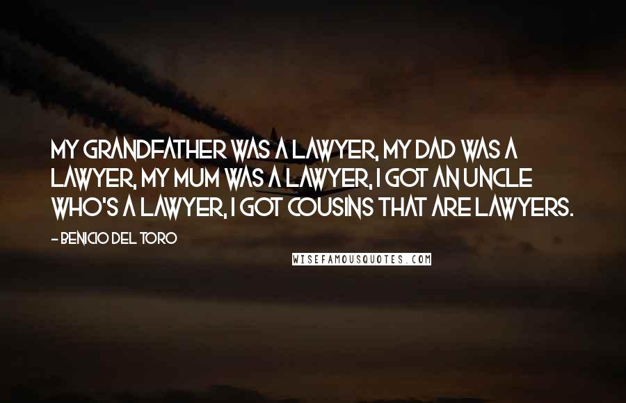 Benicio Del Toro Quotes: My grandfather was a lawyer, my dad was a lawyer, my mum was a lawyer, I got an uncle who's a lawyer, I got cousins that are lawyers.