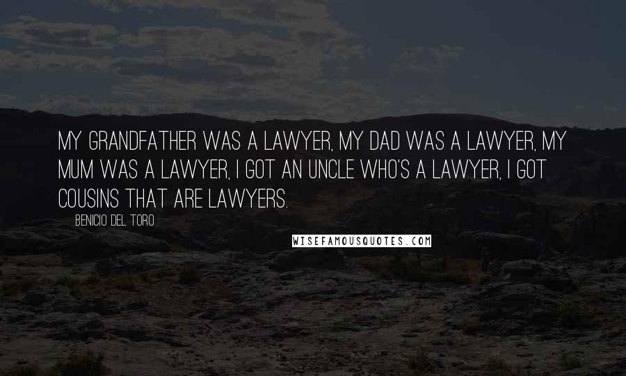 Benicio Del Toro Quotes: My grandfather was a lawyer, my dad was a lawyer, my mum was a lawyer, I got an uncle who's a lawyer, I got cousins that are lawyers.