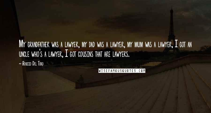 Benicio Del Toro Quotes: My grandfather was a lawyer, my dad was a lawyer, my mum was a lawyer, I got an uncle who's a lawyer, I got cousins that are lawyers.