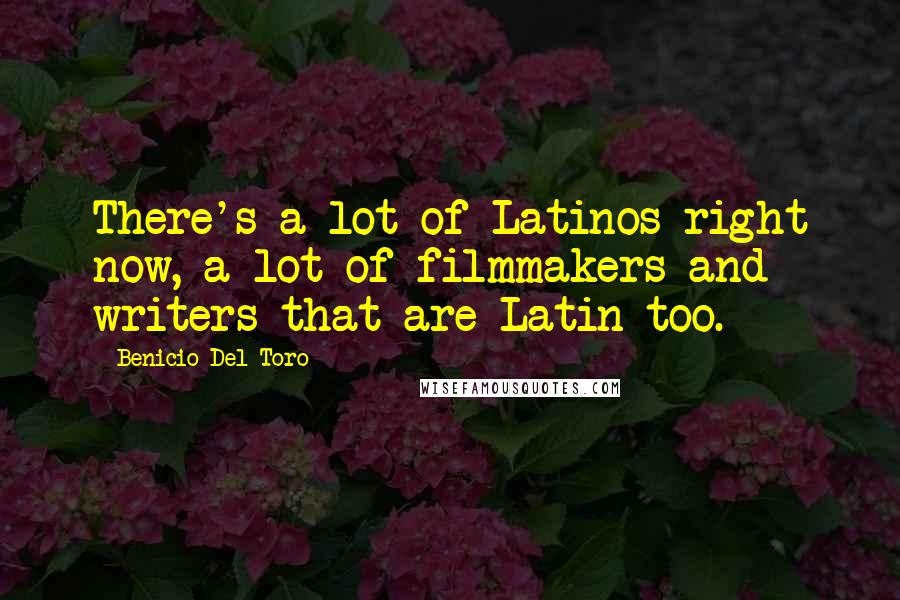 Benicio Del Toro Quotes: There's a lot of Latinos right now, a lot of filmmakers and writers that are Latin too.