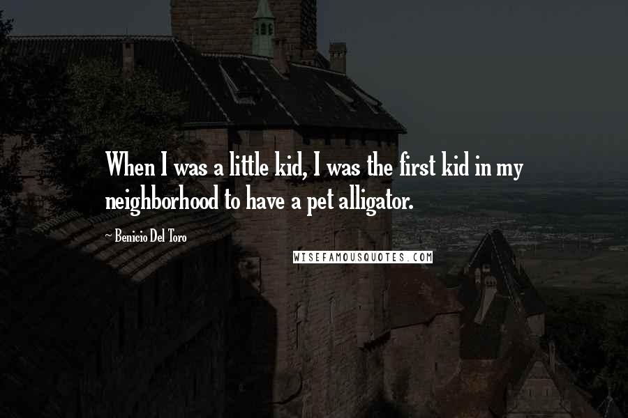 Benicio Del Toro Quotes: When I was a little kid, I was the first kid in my neighborhood to have a pet alligator.