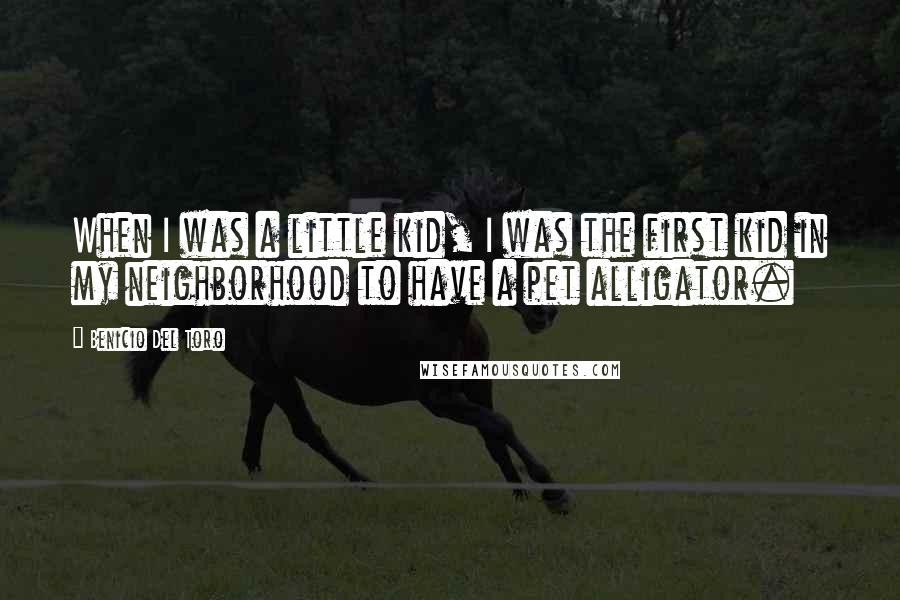 Benicio Del Toro Quotes: When I was a little kid, I was the first kid in my neighborhood to have a pet alligator.