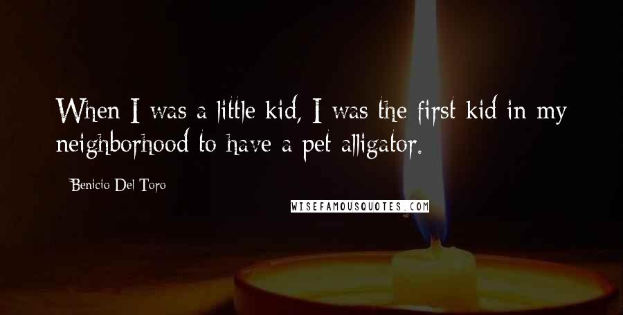 Benicio Del Toro Quotes: When I was a little kid, I was the first kid in my neighborhood to have a pet alligator.