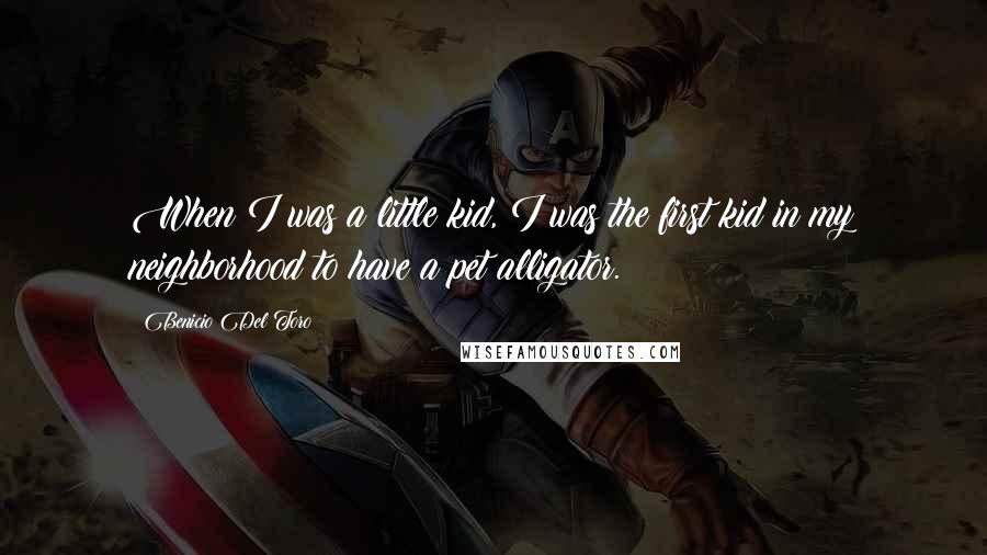 Benicio Del Toro Quotes: When I was a little kid, I was the first kid in my neighborhood to have a pet alligator.