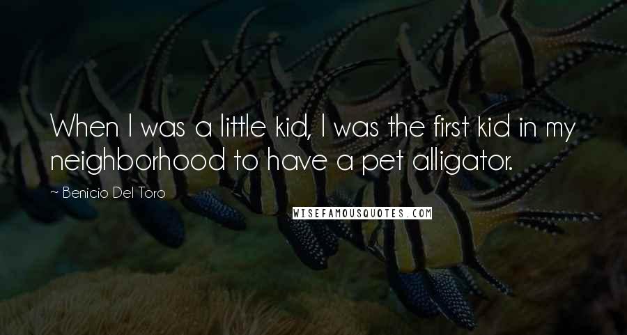 Benicio Del Toro Quotes: When I was a little kid, I was the first kid in my neighborhood to have a pet alligator.