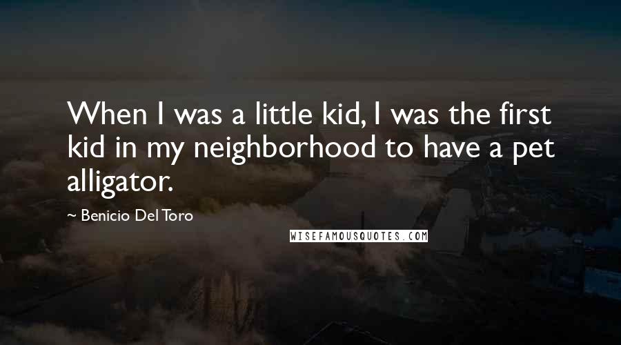 Benicio Del Toro Quotes: When I was a little kid, I was the first kid in my neighborhood to have a pet alligator.