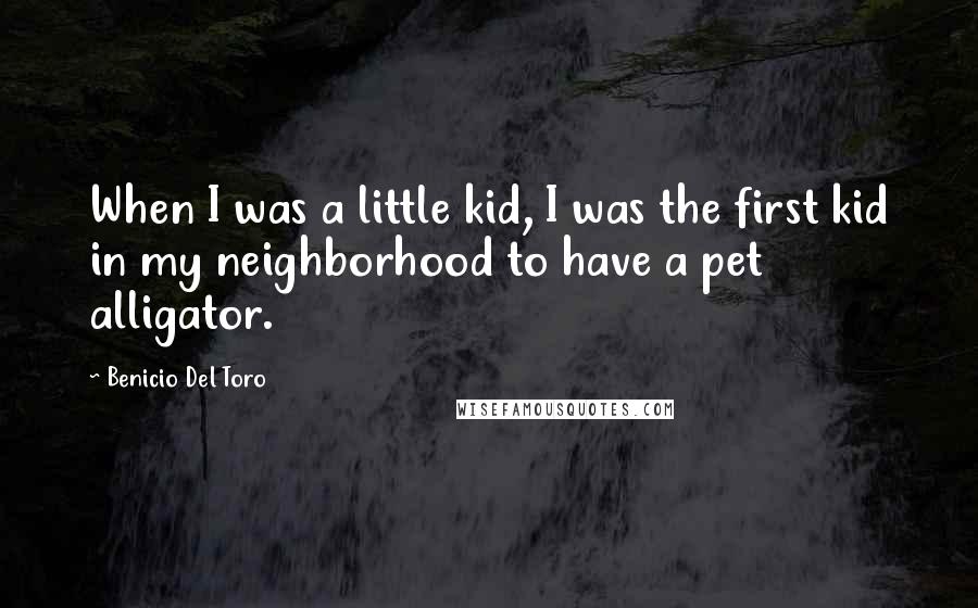 Benicio Del Toro Quotes: When I was a little kid, I was the first kid in my neighborhood to have a pet alligator.