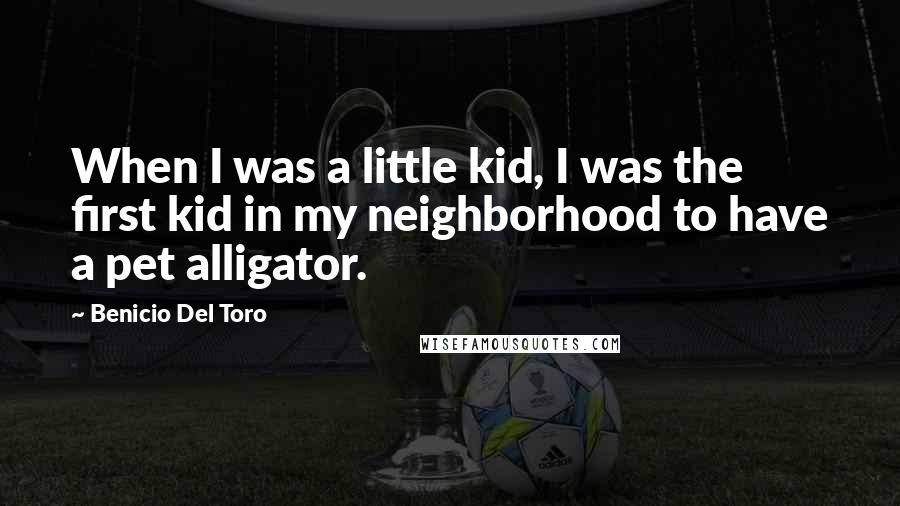 Benicio Del Toro Quotes: When I was a little kid, I was the first kid in my neighborhood to have a pet alligator.