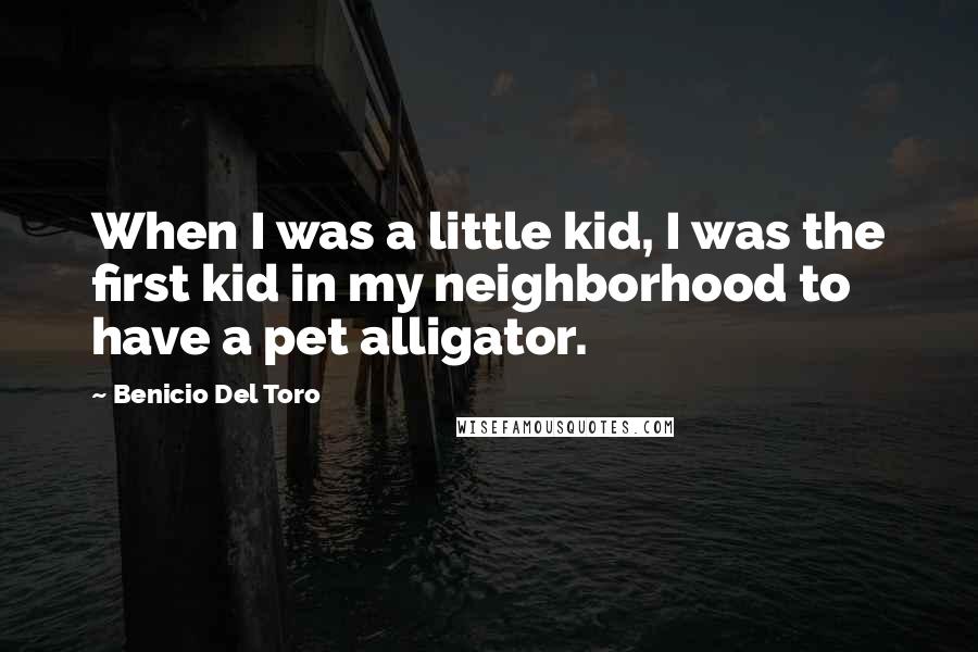 Benicio Del Toro Quotes: When I was a little kid, I was the first kid in my neighborhood to have a pet alligator.