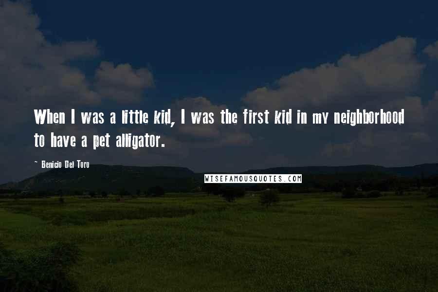 Benicio Del Toro Quotes: When I was a little kid, I was the first kid in my neighborhood to have a pet alligator.