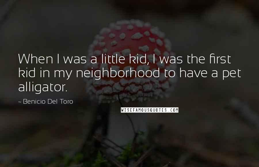 Benicio Del Toro Quotes: When I was a little kid, I was the first kid in my neighborhood to have a pet alligator.