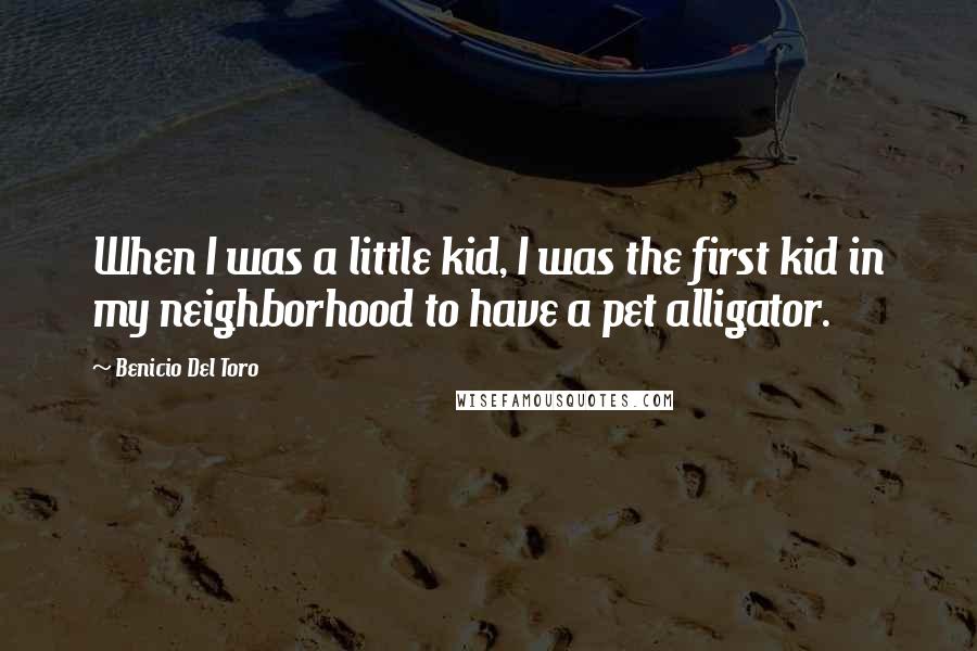 Benicio Del Toro Quotes: When I was a little kid, I was the first kid in my neighborhood to have a pet alligator.