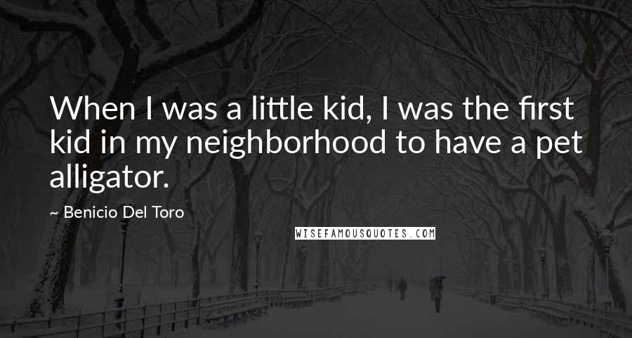 Benicio Del Toro Quotes: When I was a little kid, I was the first kid in my neighborhood to have a pet alligator.