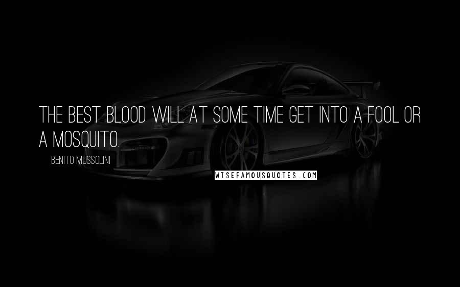 Benito Mussolini Quotes: The best blood will at some time get into a fool or a mosquito.