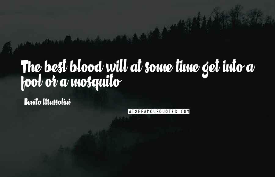 Benito Mussolini Quotes: The best blood will at some time get into a fool or a mosquito.