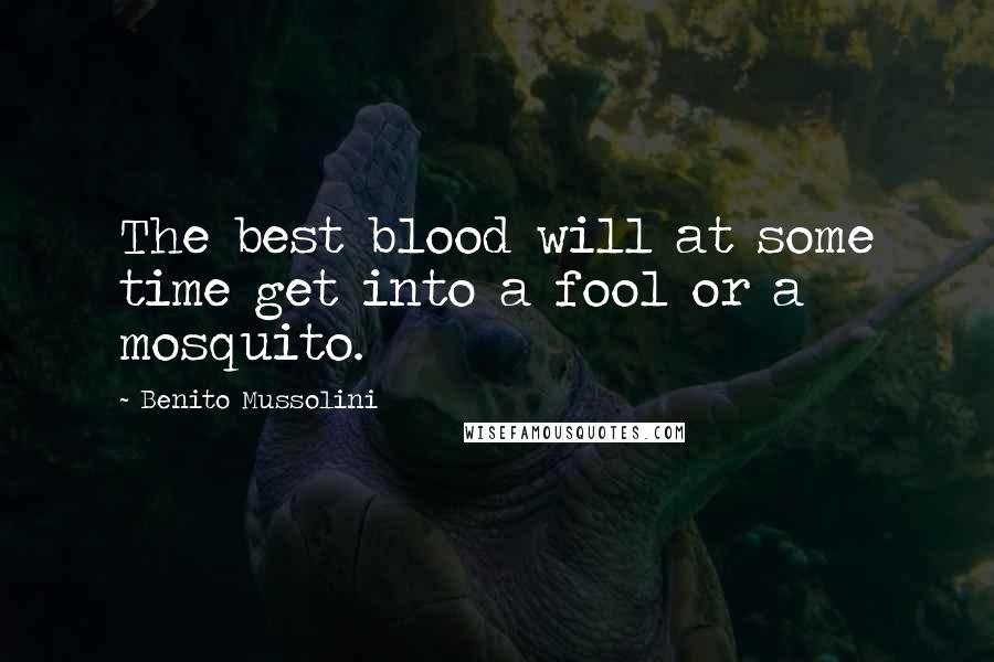 Benito Mussolini Quotes: The best blood will at some time get into a fool or a mosquito.