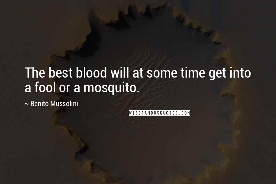 Benito Mussolini Quotes: The best blood will at some time get into a fool or a mosquito.