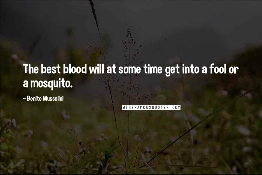 Benito Mussolini Quotes: The best blood will at some time get into a fool or a mosquito.