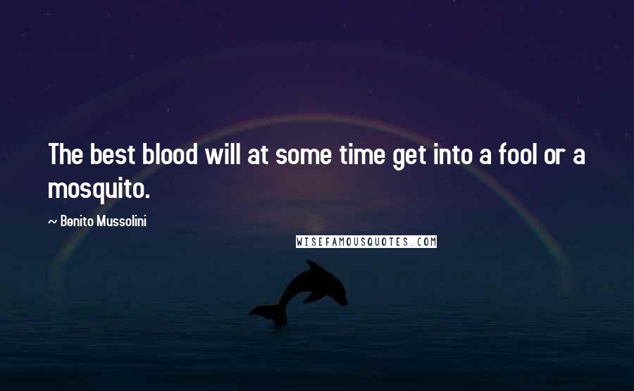 Benito Mussolini Quotes: The best blood will at some time get into a fool or a mosquito.