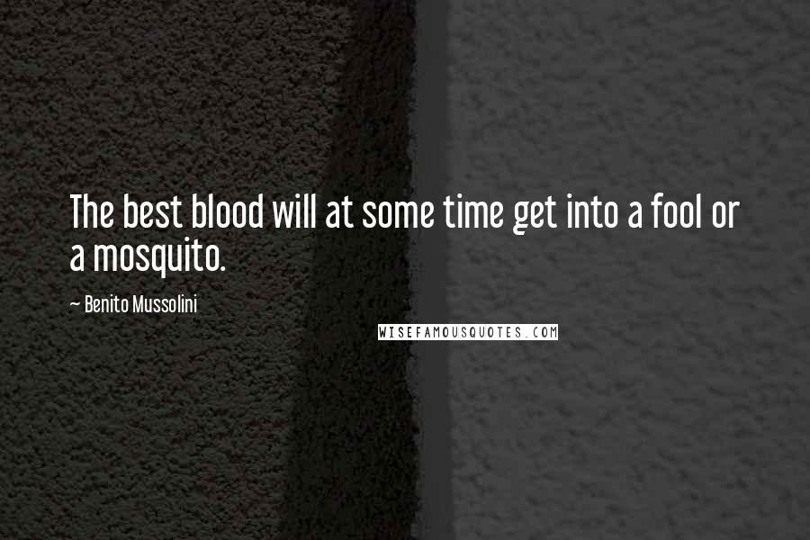 Benito Mussolini Quotes: The best blood will at some time get into a fool or a mosquito.