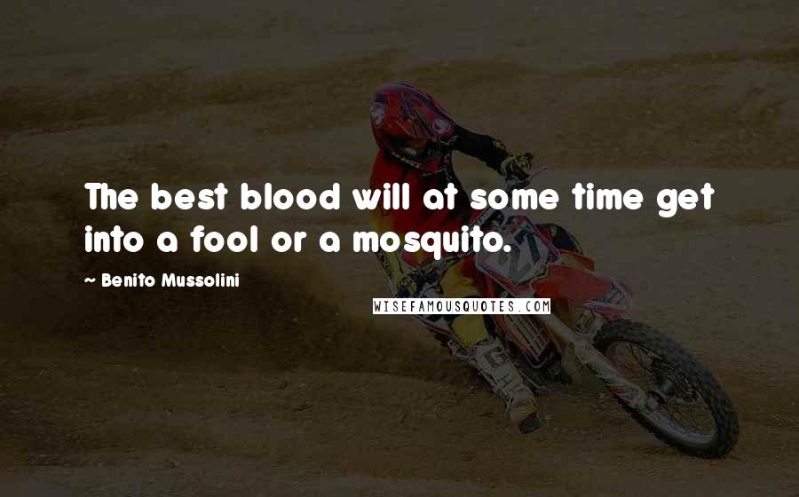 Benito Mussolini Quotes: The best blood will at some time get into a fool or a mosquito.