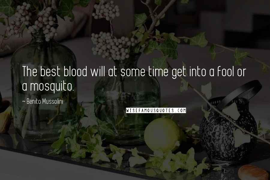 Benito Mussolini Quotes: The best blood will at some time get into a fool or a mosquito.