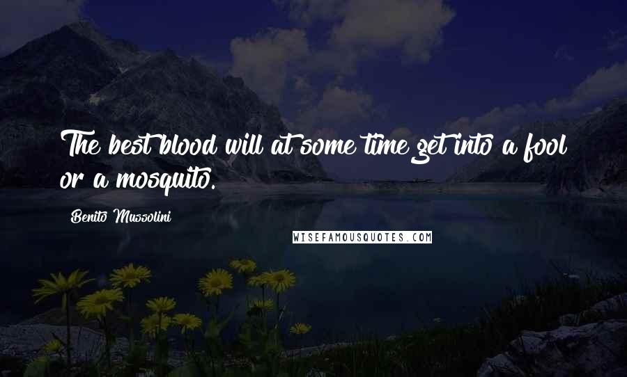 Benito Mussolini Quotes: The best blood will at some time get into a fool or a mosquito.