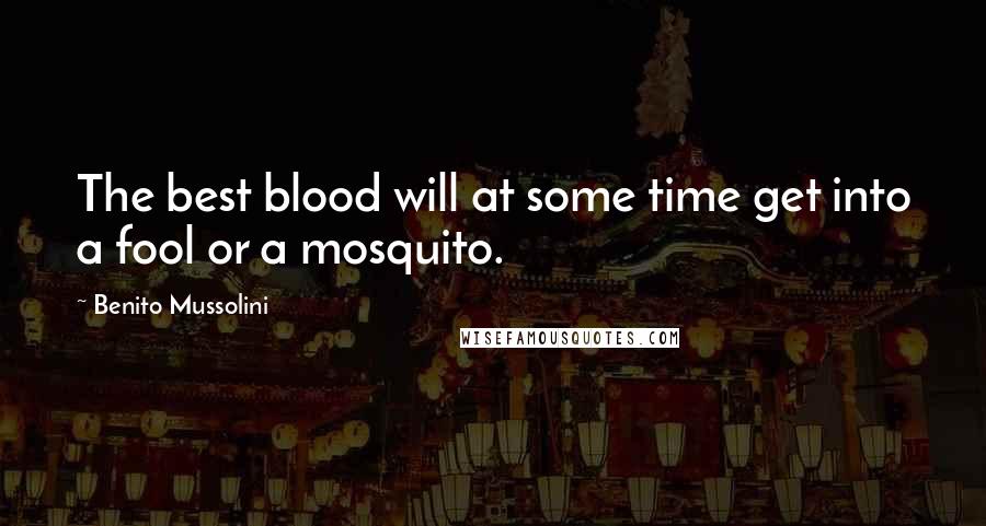 Benito Mussolini Quotes: The best blood will at some time get into a fool or a mosquito.