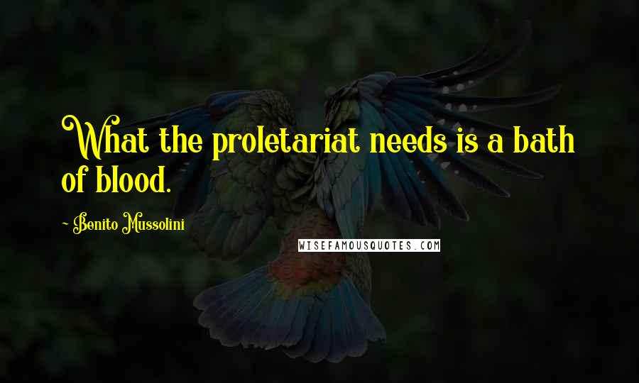 Benito Mussolini Quotes: What the proletariat needs is a bath of blood.