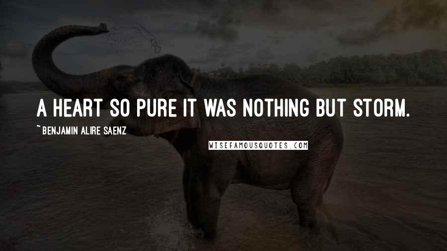 Benjamin Alire Saenz Quotes: A heart so pure it was nothing but storm.