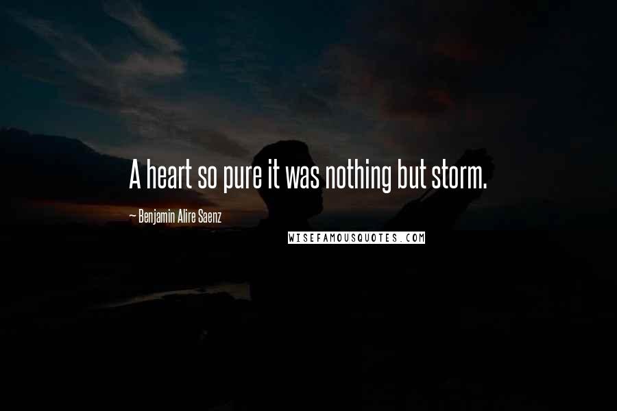 Benjamin Alire Saenz Quotes: A heart so pure it was nothing but storm.