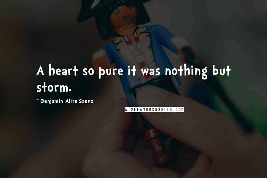 Benjamin Alire Saenz Quotes: A heart so pure it was nothing but storm.