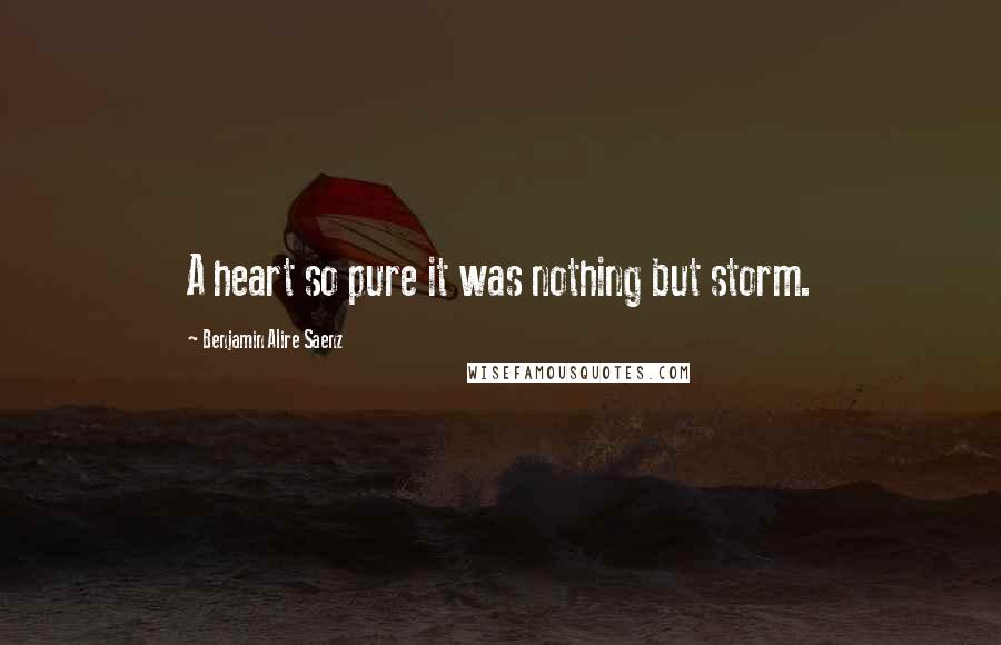 Benjamin Alire Saenz Quotes: A heart so pure it was nothing but storm.